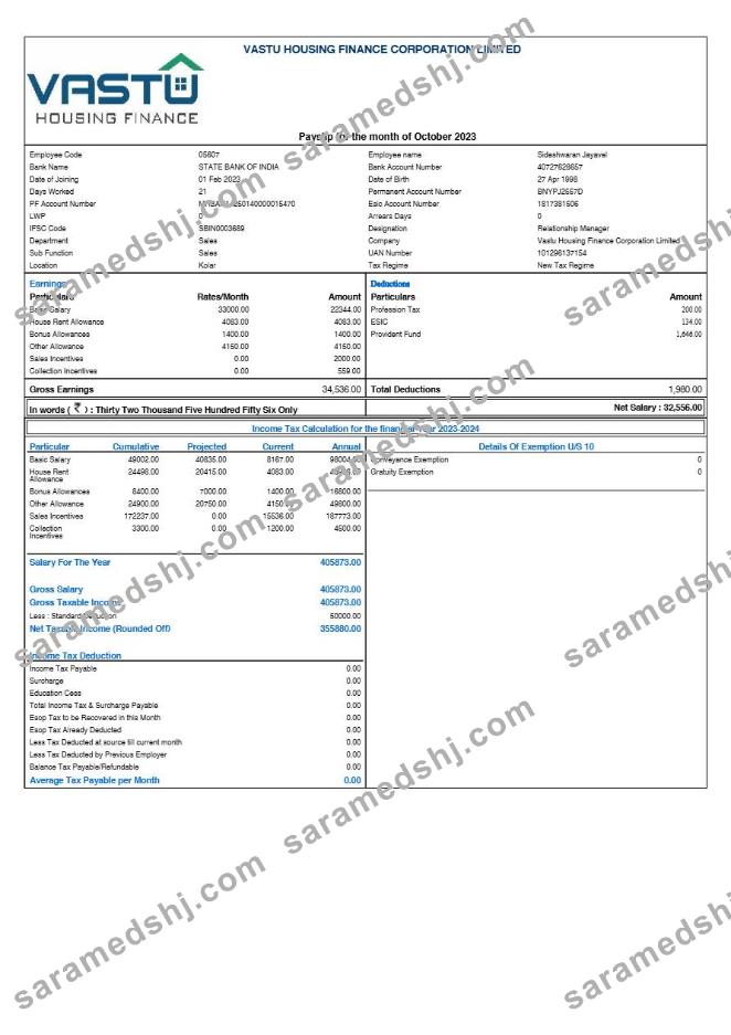 Vastu Housing Finance Corporation payslip template in Word and PDF formats.pdf, 1
